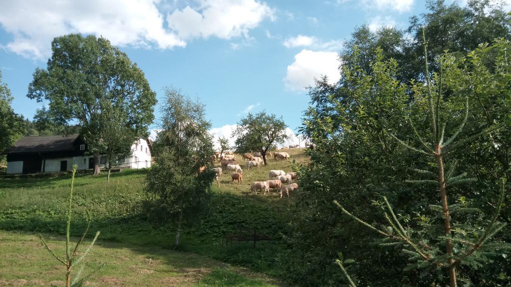 Penzion Liberta Horní Maršov Esterno foto