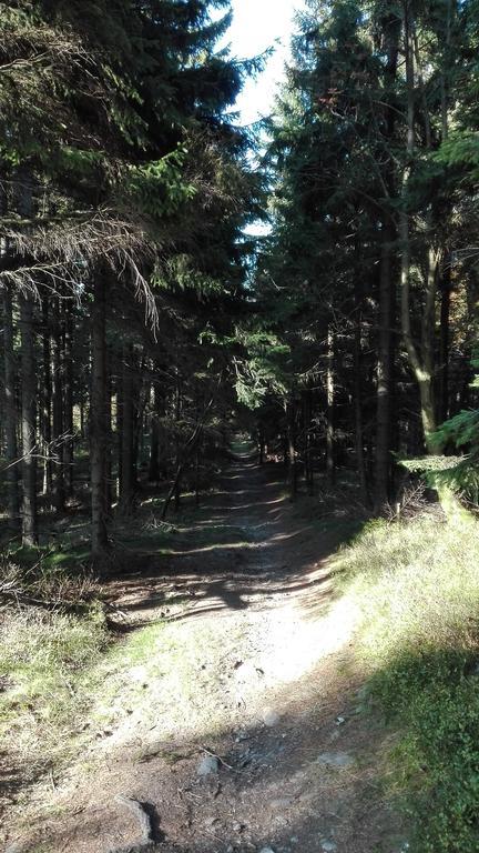 Penzion Liberta Horní Maršov Esterno foto